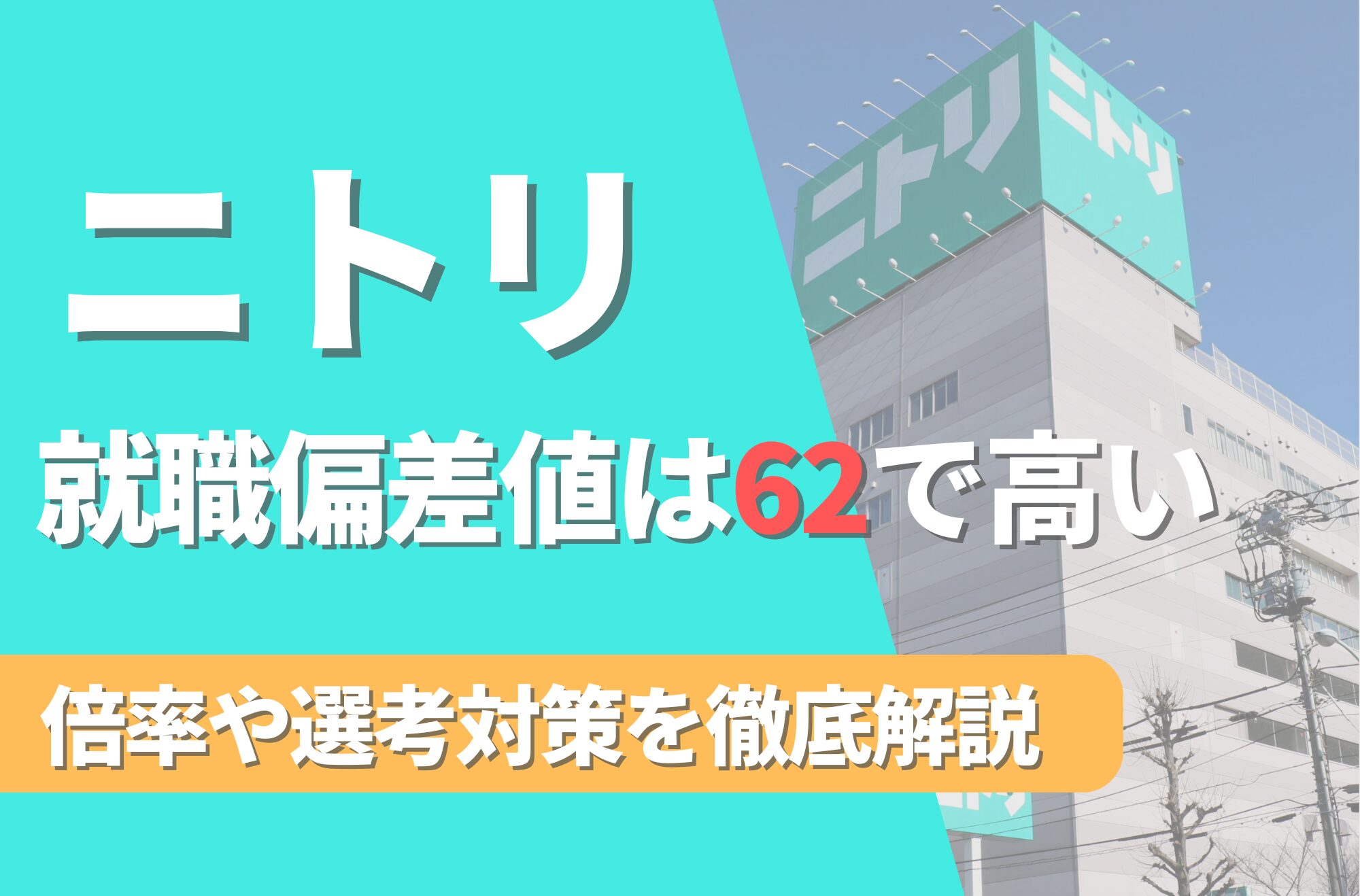 【新卒】ニトリの就職難易度は偏差値62で高い!倍率や選考対策を徹底解説